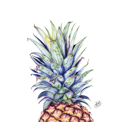020_Pineapple