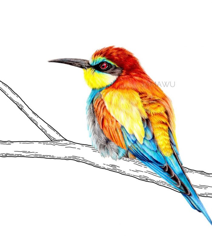 BEE EATER
