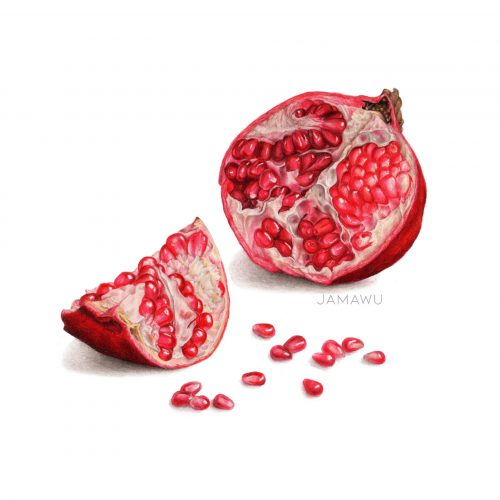 POMEGRANATE